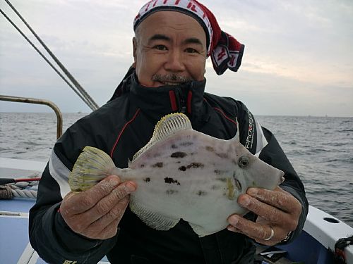 20111109175058_large.jpg