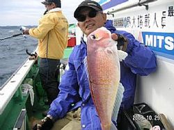 2008amadai.jpg