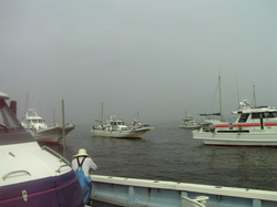 2008isa.jpg