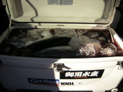 2009ka.jpg