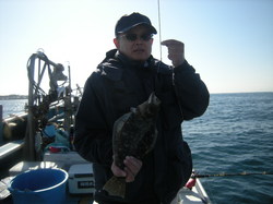 2010hira.jpg