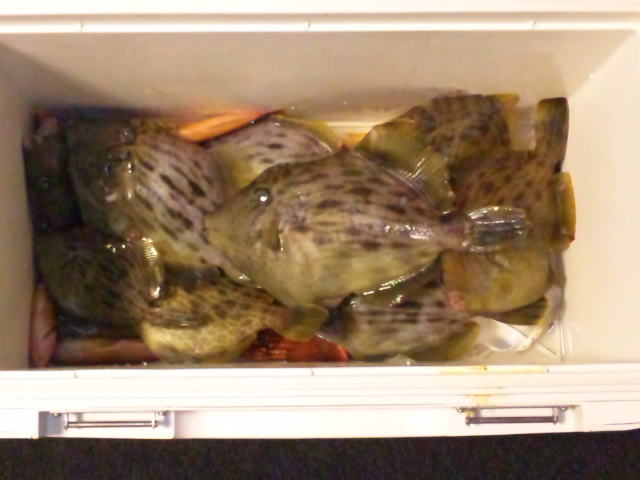 20112.22.jpg