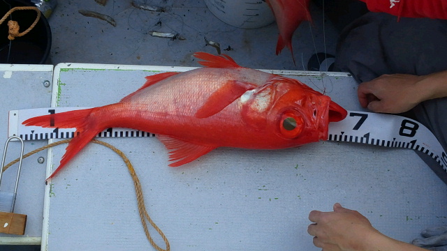 2012042519280000.jpg